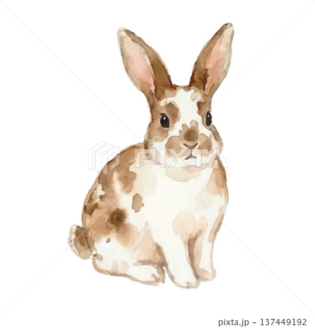 水彩風のうさぎイラスト 水彩風のうさぎイラスト 137449192