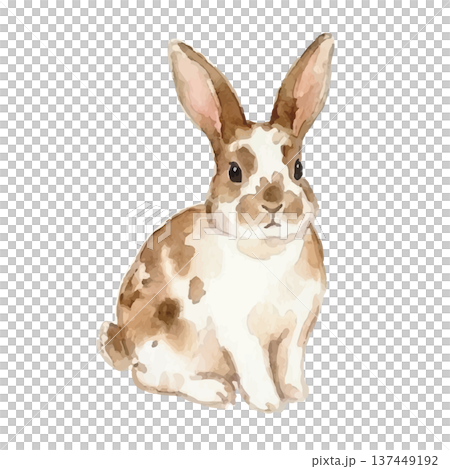 Watercolor style rabbit illustration Watercolor style rabbit illustration 137449192