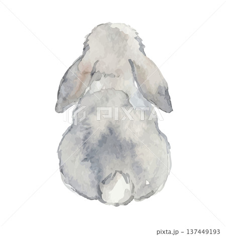 水彩風のうさぎイラスト 水彩風のうさぎイラスト 137449193