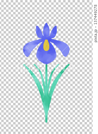 Watercolor iris flowers for Children's Day events 1 Watercolor iris flowers for Children's Day events 1 137449278