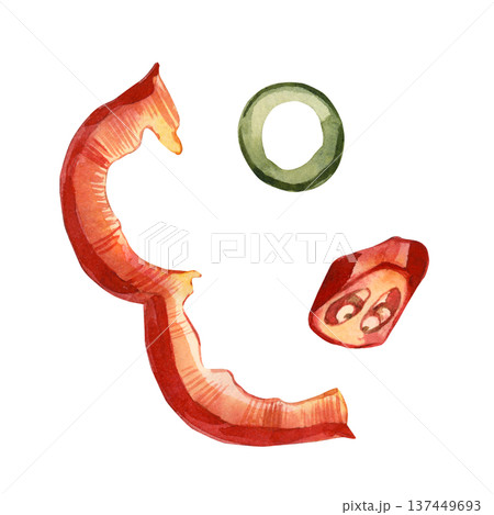 A set of watercolor illustrations featuring sliced red bell peppers, chili peppers, jalapenos. Hand-painted watercolor illustrations of fresh vegetables. Illustrations for culinary recipes, menus. 137449693