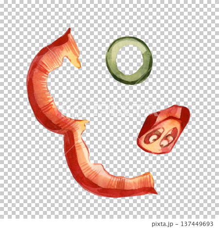 A set of watercolor illustrations featuring sliced red bell peppers, chili peppers, jalapenos. Hand-painted watercolor illustrations of fresh vegetables. Illustrations for culinary recipes, menus. 137449693