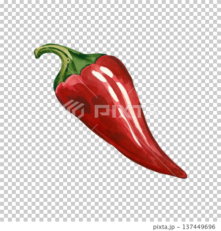 A hand-painted watercolor red jalapeno pepper isolated on a white background. This fresh, spicy vegetable is perfect for food packaging, canned goods, deli items, and menus. 137449696