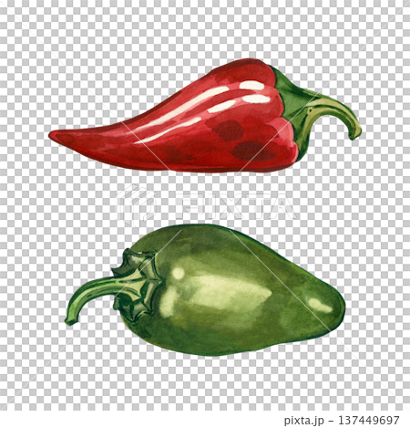 A set of hand-painted watercolor illustrations of red and green jalapeno peppers, isolated on a white background. Suitable for culinary design, menu design, and food markets. A set of hand-painted watercolor illustrations of red and green jalapeno peppers, isolated on a white background. Suitable for culinary design, menu design, and food markets. 137449697