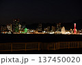 対岸の夜景 137450020