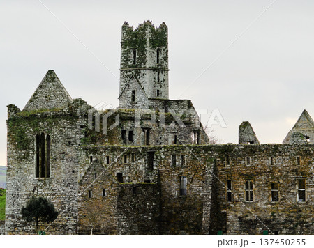 Timoleague Friary. Historical Irish abbey. Exterior of an aged, abandoned stone monastery. Picturesque view of old building with visible decay. Timoleague Friary. Historical Irish abbey. Exterior of an aged, abandoned stone monastery. Picturesque view of old building with visible decay. 137450255