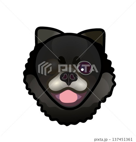 黒いポメラニアンの顔のイラスト 137451361