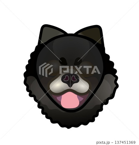 黒いポメラニアンの顔のイラスト 黒いポメラニアンの顔のイラスト 137451369