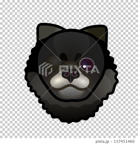 黑色博美犬臉部插圖 137451460