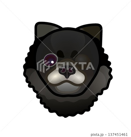 黒いポメラニアンの顔のイラスト 137451461