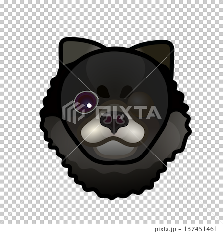 黒いポメラニアンの顔のイラスト 137451461
