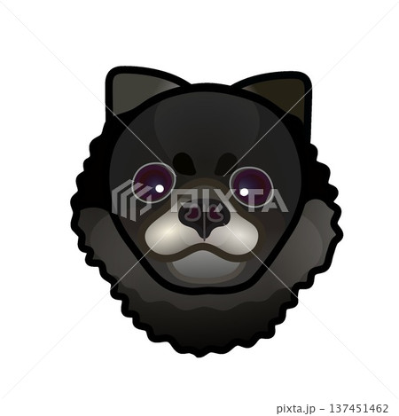 黒いポメラニアンの顔のイラスト 137451462