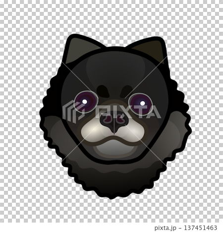 黑色博美犬臉部插圖 黑色博美犬臉部插圖 137451463