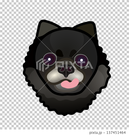 黑色博美犬臉部插圖 黑色博美犬臉部插圖 137451464