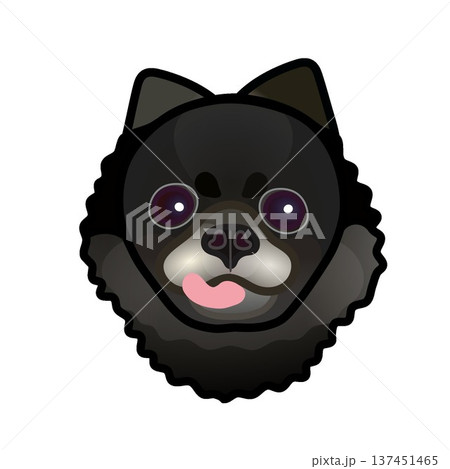 黒いポメラニアンの顔のイラスト 黒いポメラニアンの顔のイラスト 137451465