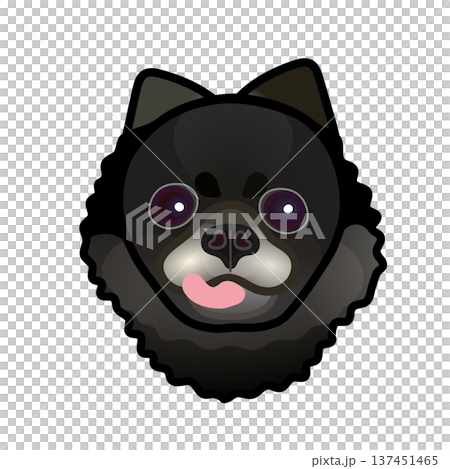 黒いポメラニアンの顔のイラスト 黒いポメラニアンの顔のイラスト 137451465
