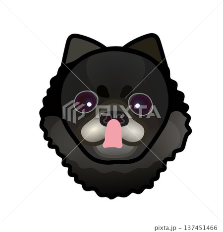 黒いポメラニアンの顔のイラスト 137451466