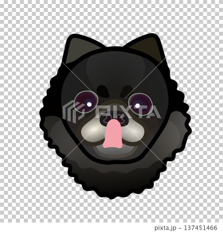 黒いポメラニアンの顔のイラスト 137451466