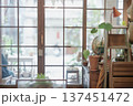 cafe 137451472