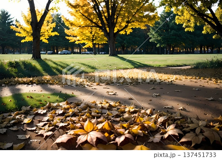 イチョウの落ち葉のある公園 137451733