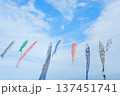 青空に泳ぐ鯉のぼり2 137451741