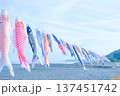 青空に泳ぐ鯉のぼり 137451742