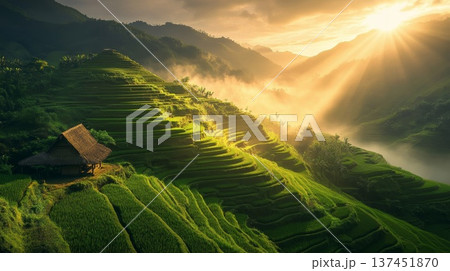 Serene House on a Terrace Surrounded by Lush Green Rice Fields Under a Golden Sunset Sky Serene House on a Terrace Surrounded by Lush Green Rice Fields Under a Golden Sunset Sky 137451870