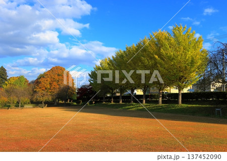 史跡 根城の広場 本丸跡の復元 日本100名城《青森》 史跡 根城の広場 本丸跡の復元 日本100名城《青森》 137452090