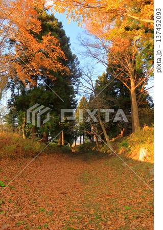 史跡 根城の広場 本丸跡の復元 日本100名城《青森》 史跡 根城の広場 本丸跡の復元 日本100名城《青森》 137452093