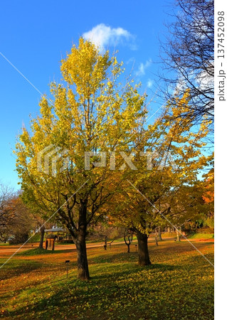 史跡 根城の広場 本丸跡の復元 日本100名城《青森》 史跡 根城の広場 本丸跡の復元 日本100名城《青森》 137452098
