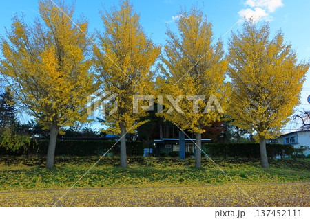 史跡 根城の広場　本丸跡の復元　日本100名城《青森》 137452111