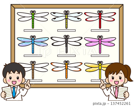トンボの標本と白衣の子どものイラスト素材 137452261