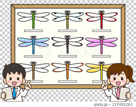 トンボの標本と白衣の子どものイラスト素材 137452261