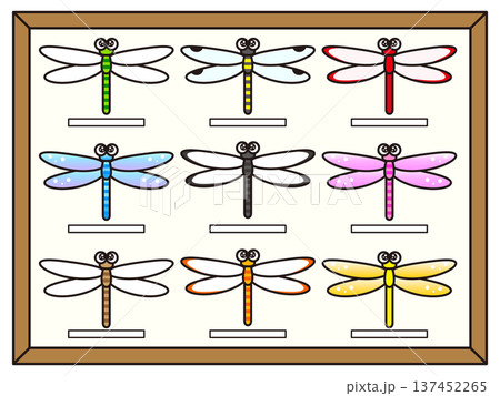 トンボの標本のイラスト素材 137452265
