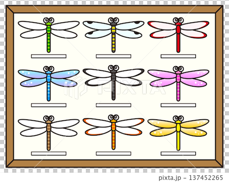 トンボの標本のイラスト素材 137452265