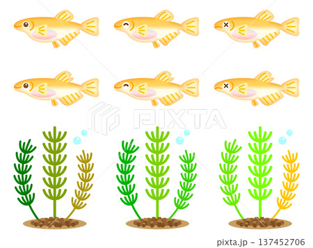 かわいいメダカと水草のイラスト素材セット かわいいメダカと水草のイラスト素材セット 137452706