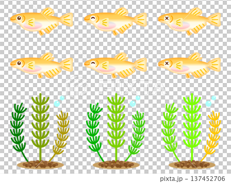 Cute medaka and aquatic plants illustration material set Cute medaka and aquatic plants illustration material set 137452706