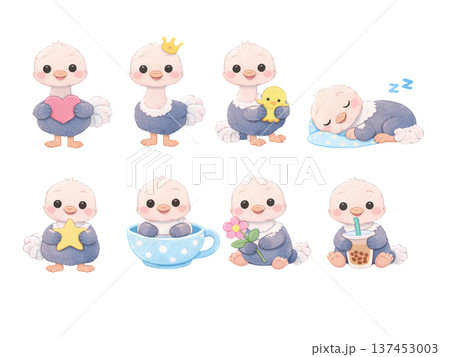 ダチョウのイラストセット 137453003