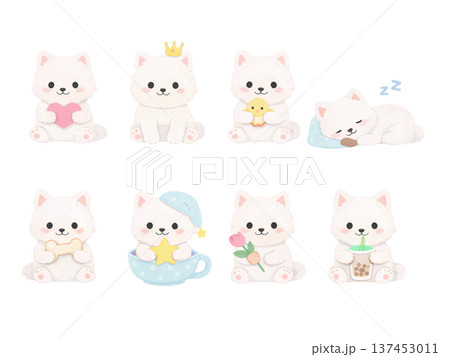 サモエドのイラストセット 137453011