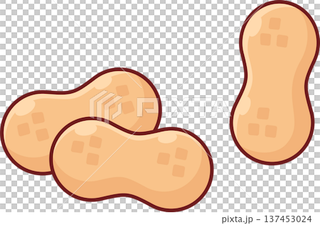 Raw peanuts in shells cartoon drawing 137453024