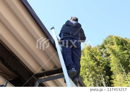 はしごに登り屋根の点検や雨樋の掃除をする男性（家のメンテナンス） 137453257