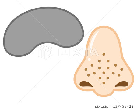鼻パックと毛穴が汚れた鼻のイラスト素材 鼻パックと毛穴が汚れた鼻のイラスト素材 137453422