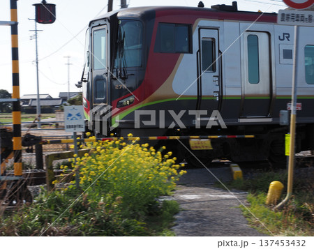 春の南陣山踏切を通過する特急列車（JR四国2700系気動車） 137453432