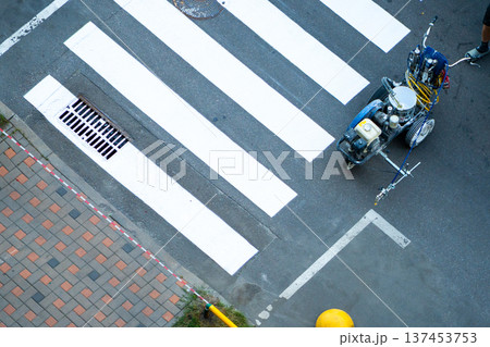Applying road markings. Paint a pedestrian crossing with white paint. 137453753