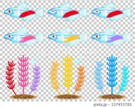 水生植物和霓虹燈魚插圖素材集 水生植物和霓虹燈魚插圖素材集 137453783