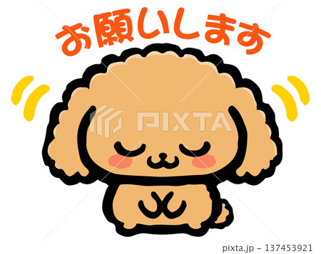 お辞儀するトイプードルのイラスト素材2 137453921