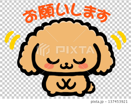 お辞儀するトイプードルのイラスト素材2 137453921