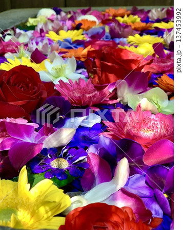 3月の花手水(薔薇・ガーベラ・クリスマスローズ・ラナンキュラス・ストック)〈菅生神社/愛知県岡崎市〉 3月の花手水(薔薇・ガーベラ・クリスマスローズ・ラナンキュラス・ストック)〈菅生神社/愛知県岡崎市〉 137453992