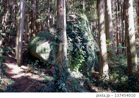 高知県土佐清水市　佐田山　白皇神社跡・御神石 137454010