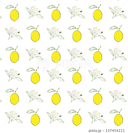 レモンの果実と花の手書きスケッチ風パターン 137454211